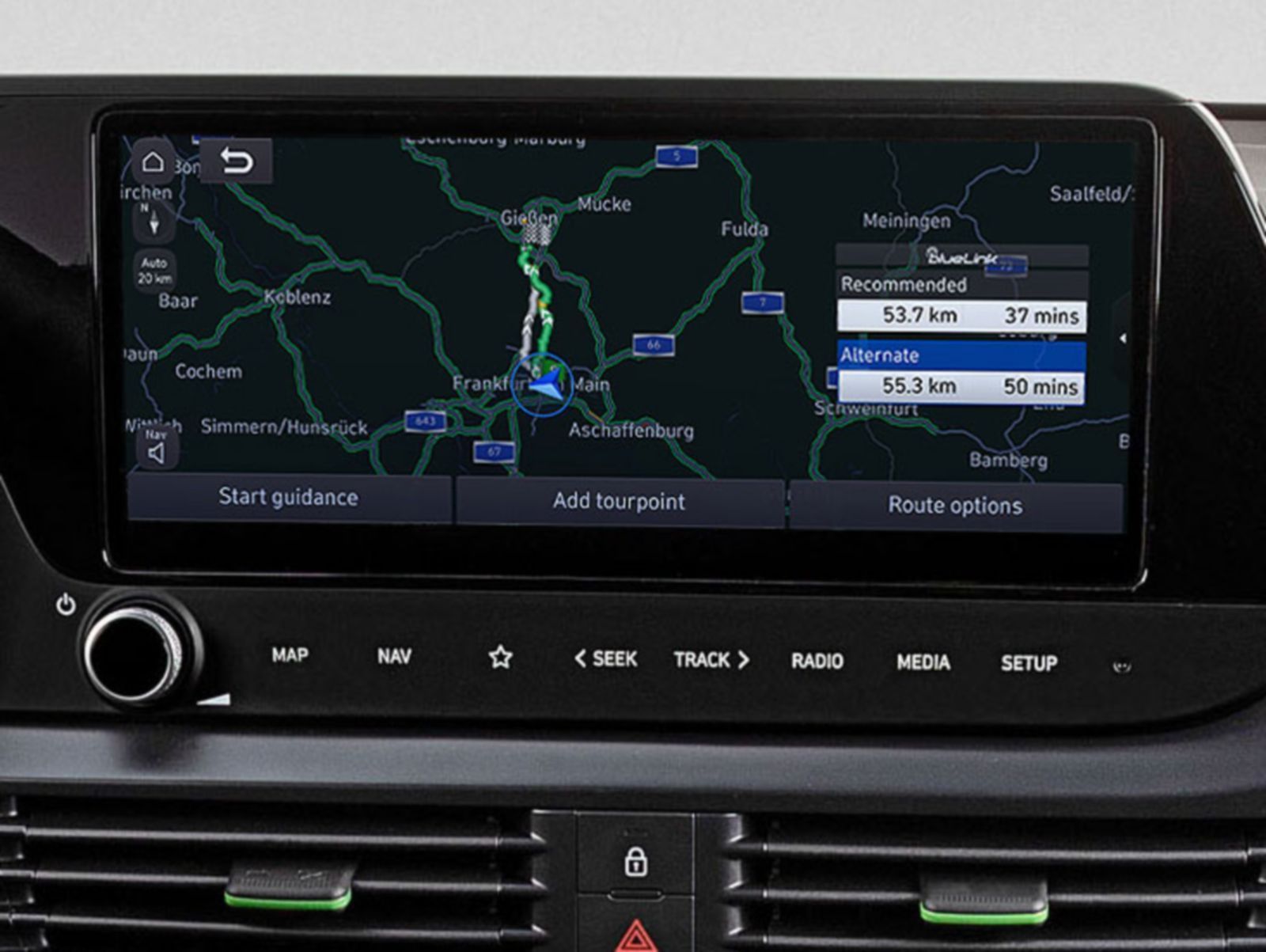 Bluelink Connected Car Services.